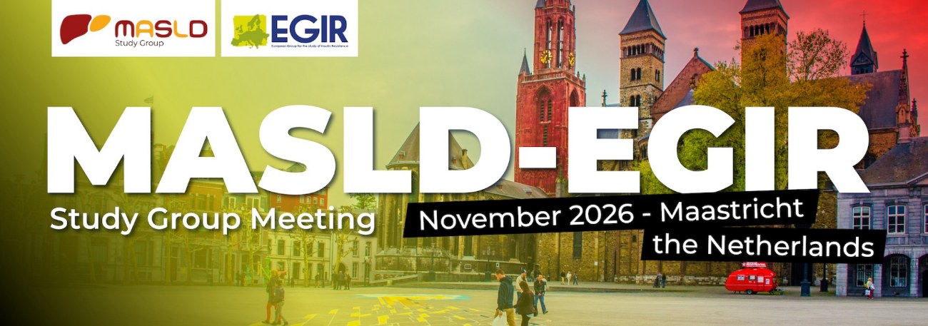 MASLD-EGIR Study Group Meeting, November 2026, Maastricht, the Netherlands